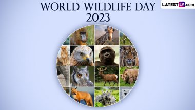 World Wildlife Day 2023 Date and Theme: Know History and Significance of the Day That Raises Awareness About the World's Wild Fauna and Flora