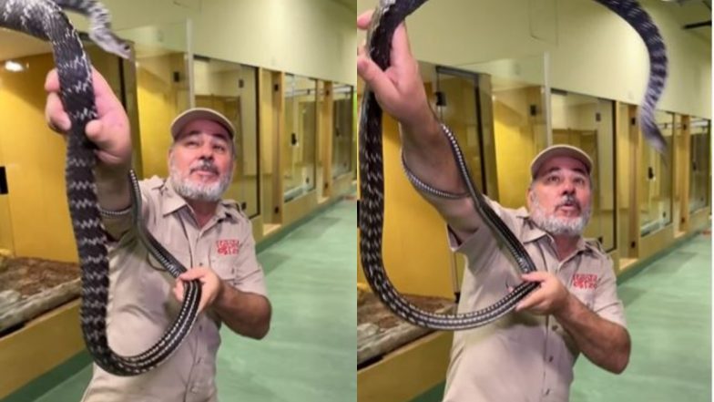 Zookeeper Jay Brewer Narrowly Escapes Getting Bitten by 9-Foot-Long Snake, Watch Terrifying Video Here