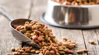 Dog Food As Source of Protein: Gym Enthusiasts Having Kibble To Increase Protein Intake, Videos Spark New TikTok Trend in US