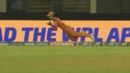 Harleen Deol Pulls Off Stunning Catch to End Harmanpreet Kaur&rsquo;s Knock During GG-W vs MI-W Match (Watch Video)