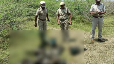 Tamil Nadu: Peacocks Found Dead Under Mysterious Circumstances in Poolankulam Village of Madurai District, Investigation Underway