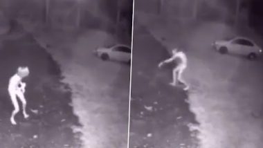 Alien Caught on Camera? CCTV Footage Shows 'Mysterious Figure' Wandering on Street, Video Goes Viral