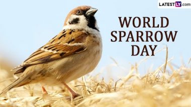 World Sparrow Day 2023 Wishes: Kiren Rijiju, Ashok Gehlot, Devendra Fadnavis and Other Indian Political Leaders Tweet To Raise Awareness About House Sparrows!