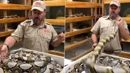 'Wasn&rsquo;t Too Happy to See Me': Reptile Zoo Founder Jay Brewer Dodges Multiple Attacks by Giant Snake in Thrilling Video