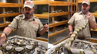 'Wasn’t Too Happy to See Me': Reptile Zoo Founder Jay Brewer Dodges Multiple Attacks by Giant Snake in Thrilling Video