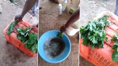 Man Dips Bunch of Leafy Veggies in ‘Suspicious’ Chemical Solution, What Happens Next Will Baffle You (Watch Video)