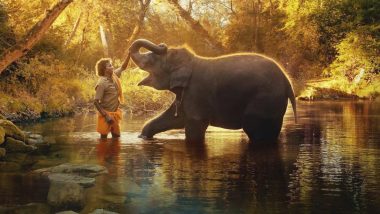 India at Oscars 2023: Guneet Monga and Kartiki Gonsalves' The Elephant Whisperers Wins Best Documentary Short Film at the 95th Academy Awards