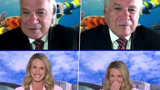 News Anchor Erupts Into Non-Stop Fits of Giggles at Interviewee’s Zoom Filter Fail, Video Goes Viral