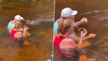 US: Unconcerned of Danger, Florida Man Hand-Feeds and Pets Alligator in Chest Deep Water, Video Goes Crazy Viral on Internet