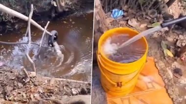 Villagers Use Tyre and Wooden Sticks to Make ‘Jugaad’ Hand Pump to Fetch Water From Pond, Leave Internet Surprised (Watch Video)