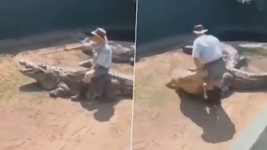 Video of Man Sitting on a Crocodile Inside a Zoo Goes Viral, What Happens Next Will Leave You Shocked