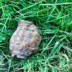 UK: Nine-Year-Old Digs World War 2 Unexploded Grenade From His Garden, Handovers To Police (Viral Photos)