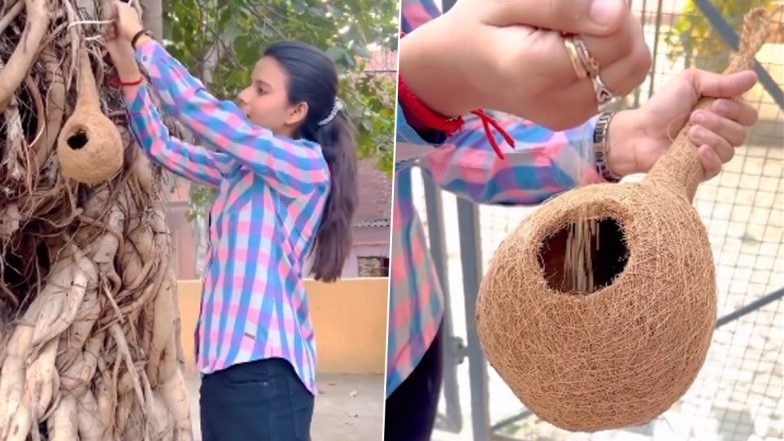 Delhi: Activist Places Artificial Nests To Invite Birds Again in National Capital, Maintain Biodiversity (Watch Video)