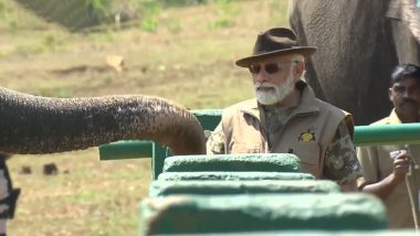 PM Narendra Modi Feeds Elephants At Theppakadu Camp In Tamil Nadu (Watch Video)