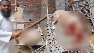 Dog Thrashed in Ghaziabad Video: Man Brutally Beats Pitbull With Stick, Breaks Dog's Jaw and Thrashes Owner (Viewer Discretion Advised)