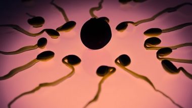 Netherlands: Man Who Fathered Hundreds Barred From Sperm Donation to Prospective Parents