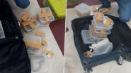 Tamil Nadu International Airports on Alert After Seizure of Exotic Animals Including Snakes (Watch Video)