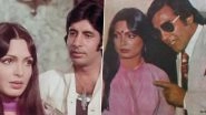 Parveen Babi Birthday: From Amitabh Bachchan to Vinod Khanna - 5 Actors Who Had Great Chemistry With The Legenda