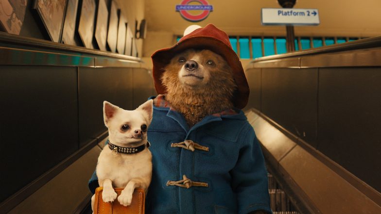 Paddington in Peru to Begin Production in July- Reports