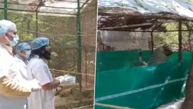 Arif Meets 'Caged Friend' Sarus at Kanpur Bird Sanctuary, Bird Starts Jumping for Joy on Seeing 'Saviour' (Heartwarming Video)