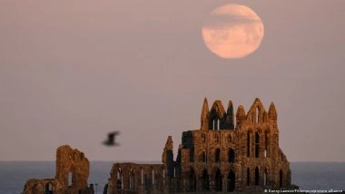 Fascinated by Horror: The Lure of the Morbid