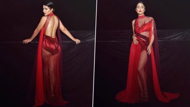 Hina Khan Screams Bold and Glam in Dark Red Mesh Dress With Thigh-High Slit for an Awards Show (View Pics)