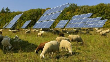 Solar Energy in Europe Thriving as Climate Warms