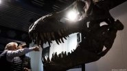 T. Rex Skeleton Fetches More Than $6 Million at Auction