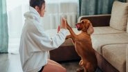 Lifestyle News | Young Dog Owners Tend to Cope Better when Their Pup Misbehaves: Study
