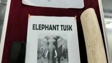 India News | One Held for Trying to Sell Elephant Tusk Illegally in Hyderabad