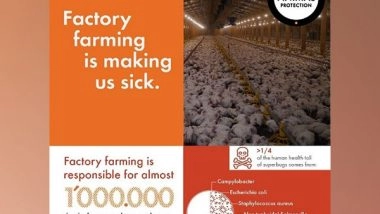 Business News | Rising Superbug Threat from Factory Farming: Study Shows One Million Deaths Aannually and Projected Doubling by 2050