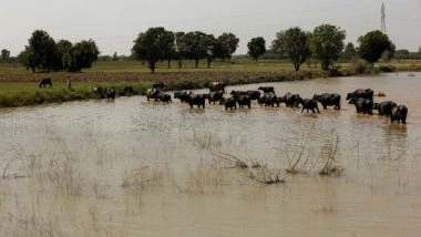World News | Pakistan: Shortage of Water to Affect Kharif Crops