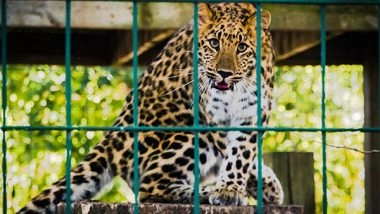 India News | J-K: Principle Secretary Forest Reviews Ongoing Works at Jammu's Jambu Zoo