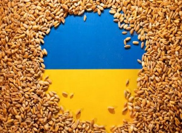 World News | Poland to 'temporarily' Prohibit Grain, Other Food Imports from Ukraine