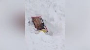 India News | Five Cars Buried in Snow After Avalanche Occurs Near Zojila Pass in Ladakh, No Casualties