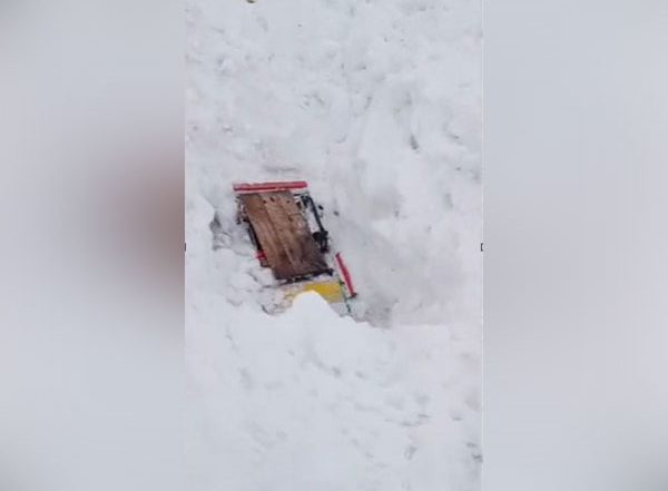 India News | Five Cars Buried in Snow After Avalanche Occurs Near Zojila Pass in Ladakh, No Casualties