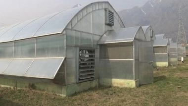 India News | J-K Horticulture Dept Introduces Hi-tech Poly Houses, High Yielding Varieties to Increase Walnut Production