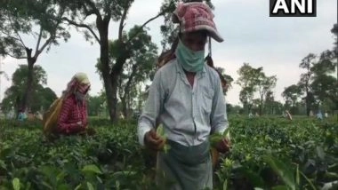India News | Assam Govt Provincialises Tea Garden-managed Schools to Provide Students with Better Facilities