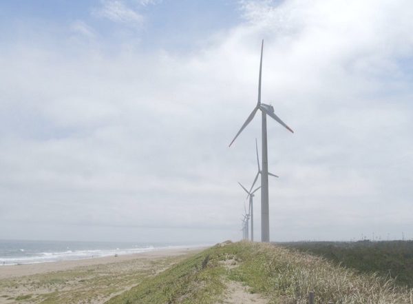 Adani Green Energy Turns 'Water-Positive' for Plants with Operating Capacity of Over 200 MW, Says Agency DNV