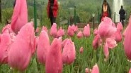 India News | J-K: Tulip Garden Closes for This Season After Record Tourist Footfall