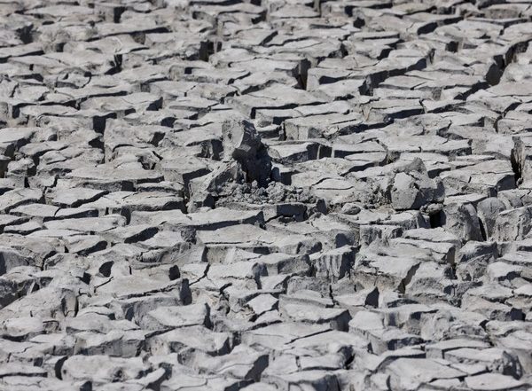 World News | WMO Annual Report Highlights Continuous Advance of Climate Change