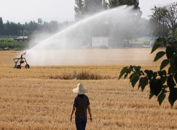 World News | China Needs to Reconsider Its Economic Focus, Turn Towards Agriculture Amid Manufacturing and Real Estate Crisis