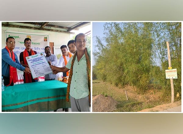 India News | Assam: Solar Fence Installed at Goalpara to Mitigate Human-elephant Conflict