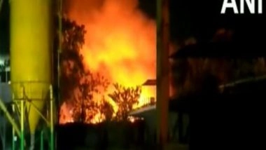 India News | Fire Breaks out Near Salt Lake Housing, Several Shanties Gutted