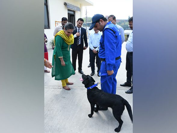 India News | Dog Unit K9 Adds More Teeth to Delhi Customs' Drug Detection Efforts - Vimarsana News