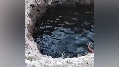 Madhya Pradesh: Bodies of Three Sisters Found Floating in Well in Dhar, Mother Missing