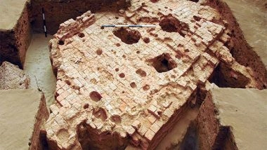 Science News | One or Two DNA Samples Will Not Give Us Entire Idea: ASI on DNA Research Showing Eurasian Imprints in Kerala