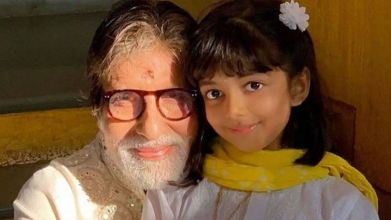 Aaradhya Bachchan Case: Delhi HC Restrains YouTube Tabloids to Share Fake News on Starkid's Health