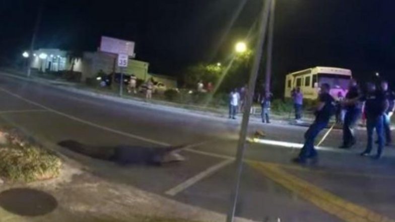 Alligator in Raymond James Stadium: Officers ‘Arrest’ 9-Foot Urban Gator Walking Near Tampa Bay in Florida (Watch Video)
