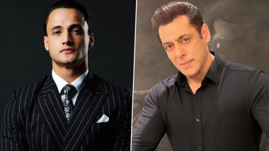 Kick 2: Asim Riaz Reportedly to Star in Salman Khan-Starrer; BB13 Fame's Insta Story Adds Fuel to the Rumours